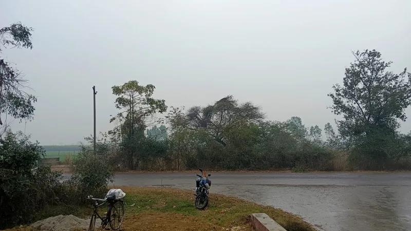 5 - 2024-02-04T135937.051