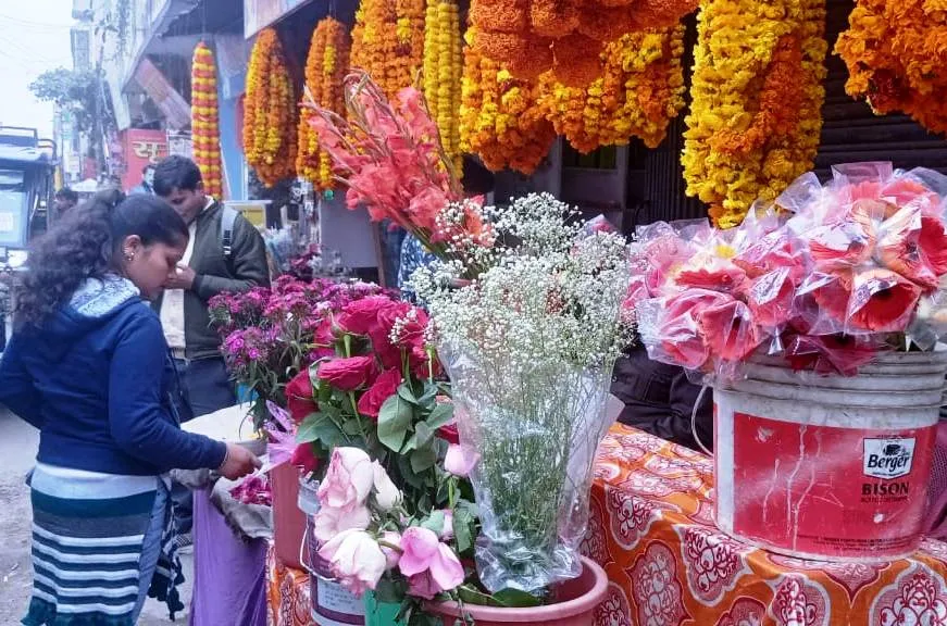 5d662a9d-bbc1-4041-80cd-e8233a7181d3