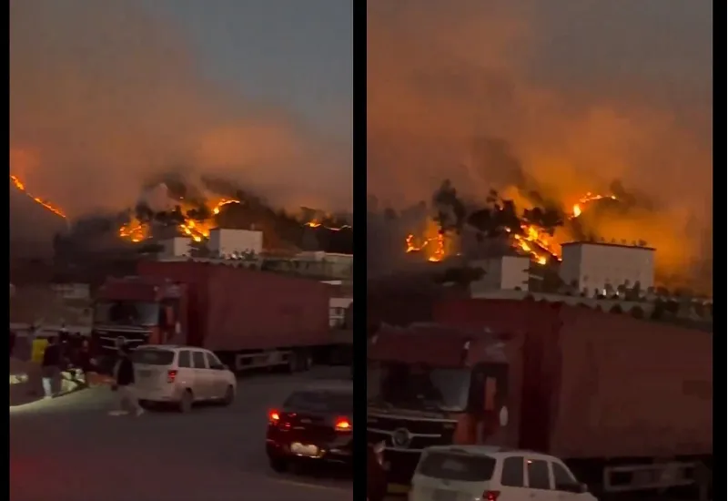 चीन के युन्नान प्रांत में जंगल में लगी आग, बचाव कार्य जारी 