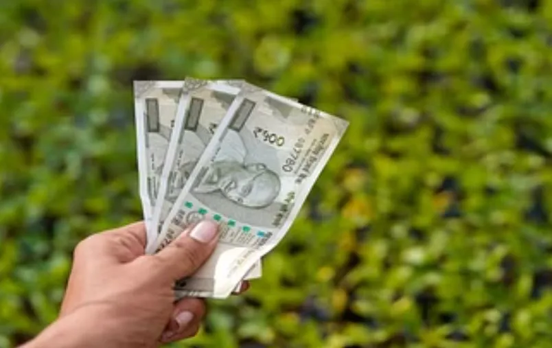 Budaun News: किसानों के खाते में नहीं पहुंची बीज सब्सिडी की धनराशि, कृषि विभाग के काट रहे चक्कर 