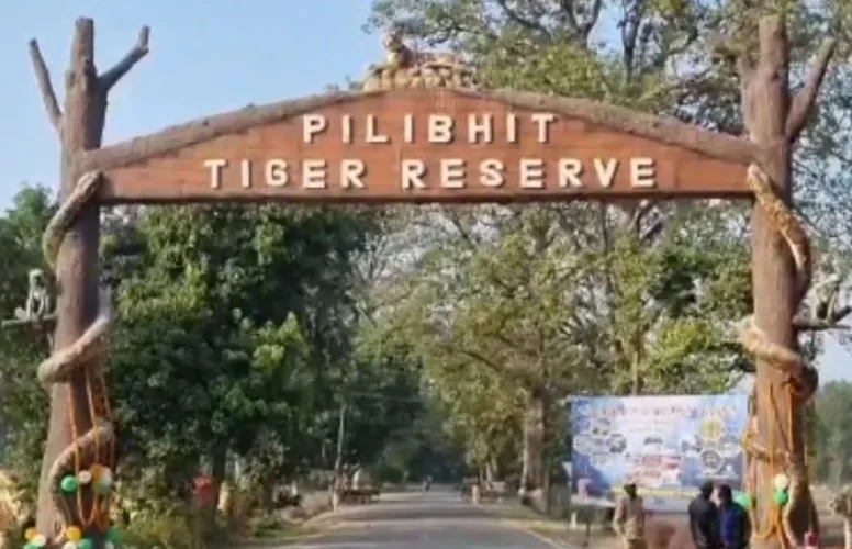 पीलीभीत: 16 माह का लंबा इंतजार, वॉचरों के हाथ आया सिर्फ छह माह को मानदेय