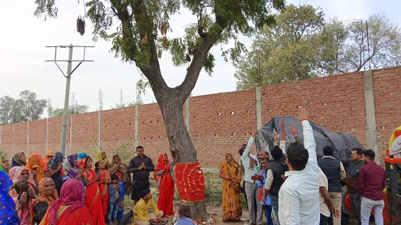 प्रयागराज: नीम का पेड़ बना कौतूहल का केंद्र, लोग कर रहे पूजा, वैज्ञानिक बोले- निकल रही है निमाव