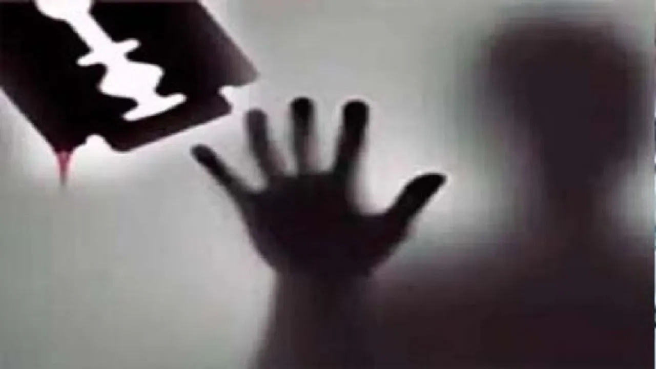 बरेली: स्कूटी में मारी टक्कर...गाली-गलौज का विरोध करने पर दो युवकों पर ब्लेड से हमला, वीडियो वायरल