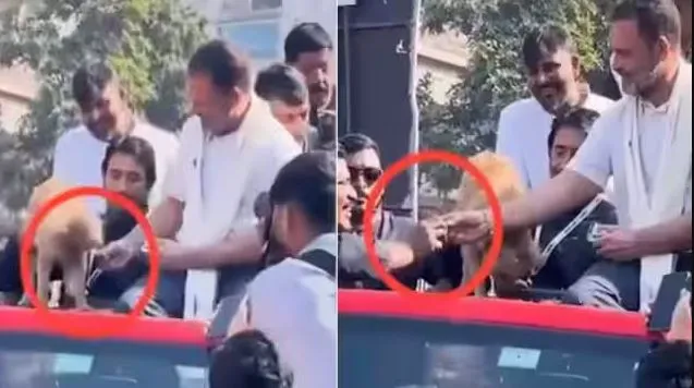 वायरल वीडियो पर राहुल गांधी की सफाई, कहा- मैंने कुत्ते को खिलाने के लिए उसके मालिक को दिया था बिस्कुट 