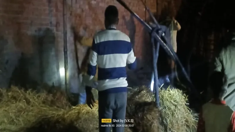 बहराइच: महिला का आरोप- चुनावी रंजिश में लगाया आग, तीन मवेशी झुलसे