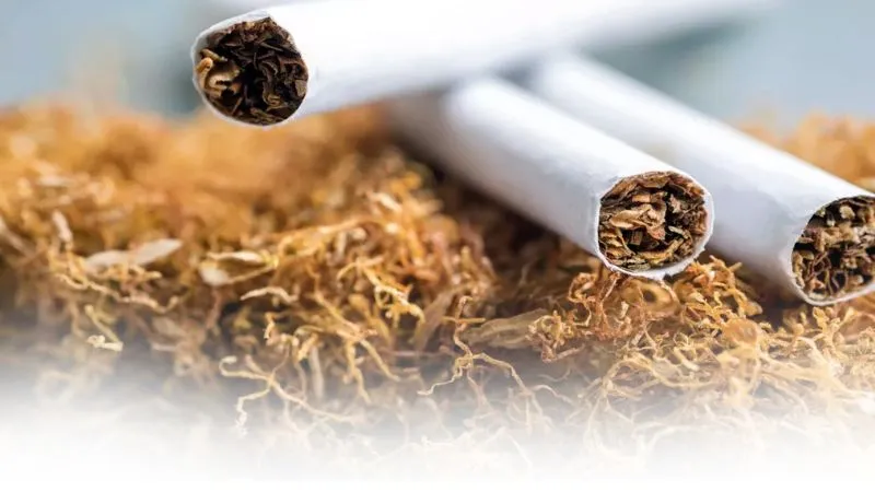 Kanpur में पुरुषों के कैंसर में तंबाकू 57 फीसदी कारण... हर साल 30 फीसदी बढ़ रहे फेफड़े के कैंसर के रोगी, ये है लक्षण   