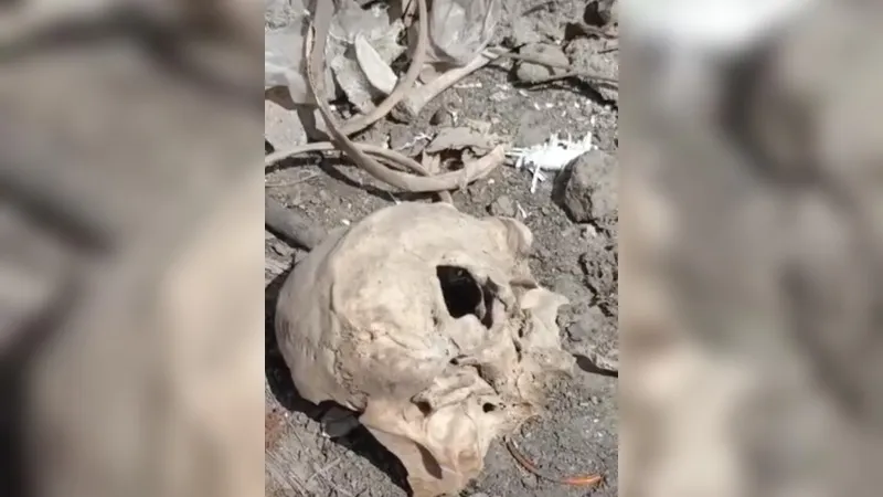 Kanpur: खाली प्लॉट पर मिले नरमुंड; इलाके में फैली दहशत, पुलिस जांच में जुटी, लोगों में हो रही इस बात की चर्चा...