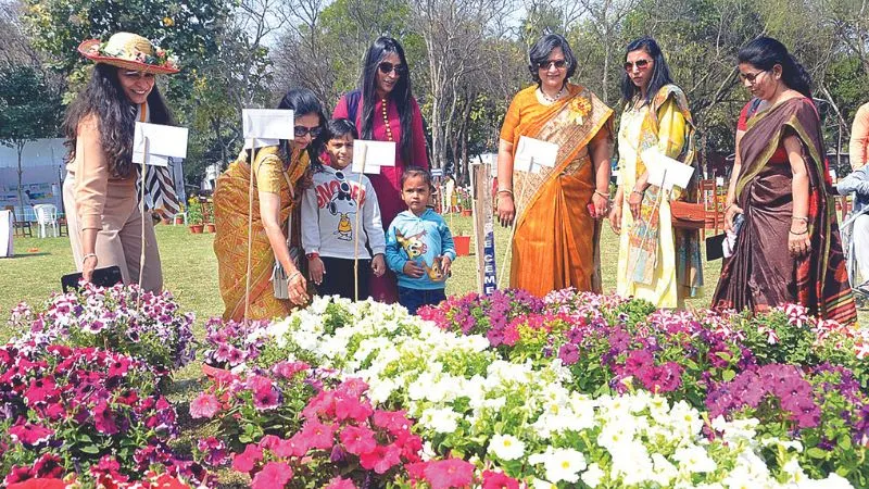 Kanpur: जेके लॉन में महक उठा फूलों का रंग बिरंगा संसार...60 तरह के विदेशी फूल आकर्षण के केंद्र, देखते ही रह रहे लोग