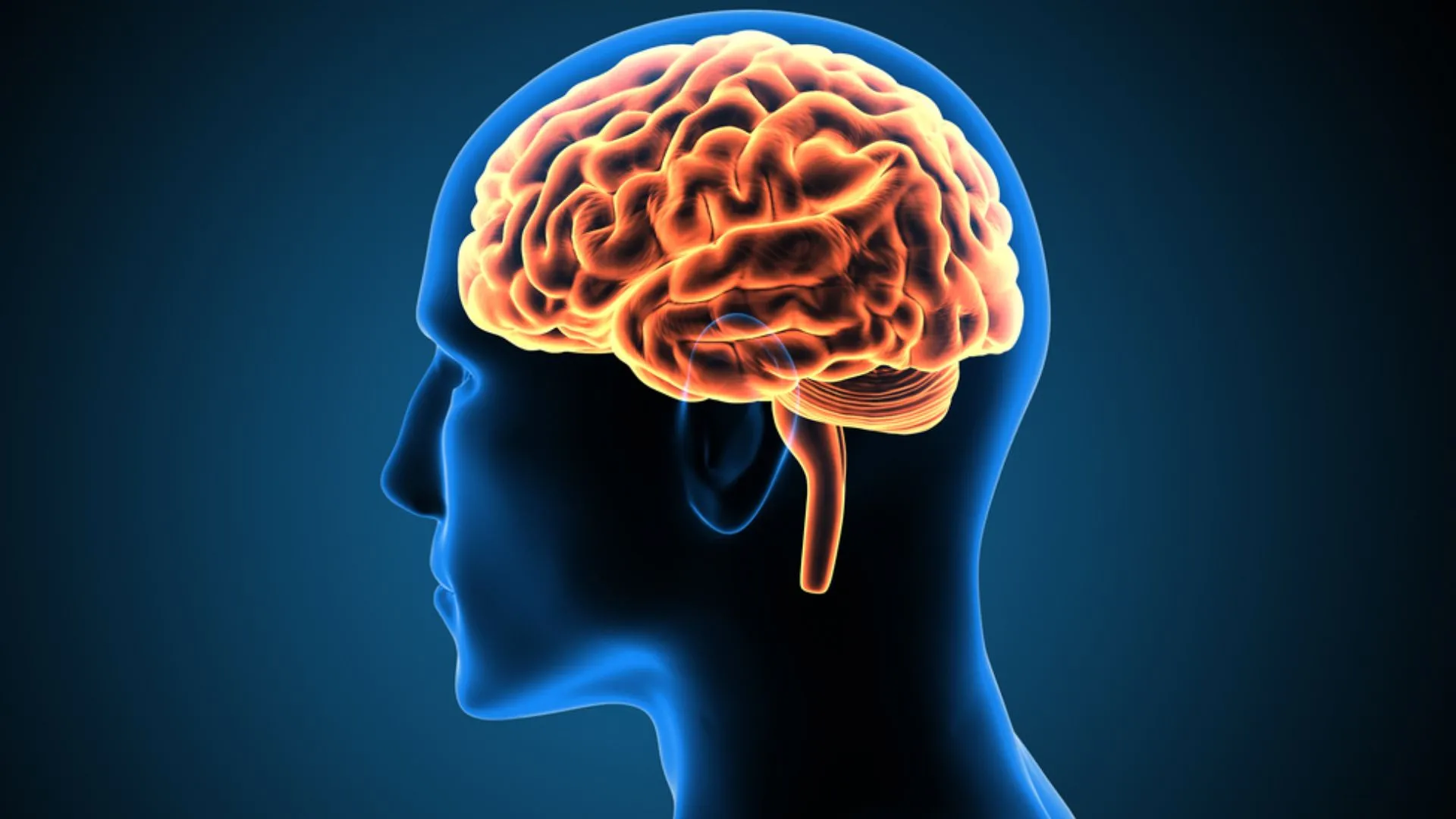 न्यूरालिंक ने पहली बार मानव मस्तिष्क में अपनी चिप प्रतिरोपित की, क्या गड़बड़ियां हो सकती हैं? 