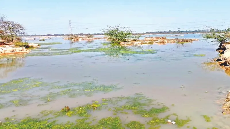 Kanpur: मेगा लेदर क्लस्टर... सपनों को जमीन मिली पर उड़ान भरने को पंख अभी दूर, लेदर क्लस्टर में 250 टेनरियां होंगी स्थापित