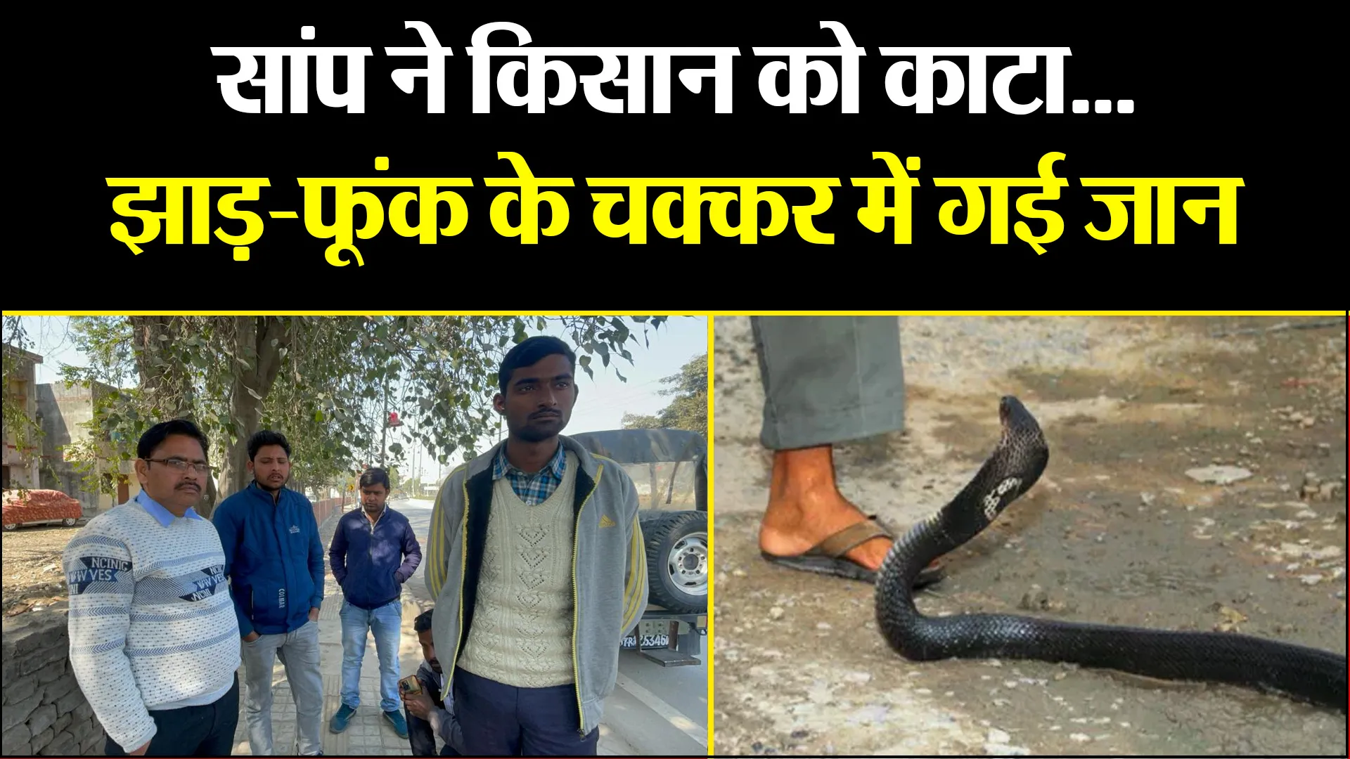 बरेली: सांप ने किसान को काटा...झाड़-फूंक के चक्कर में गई जान