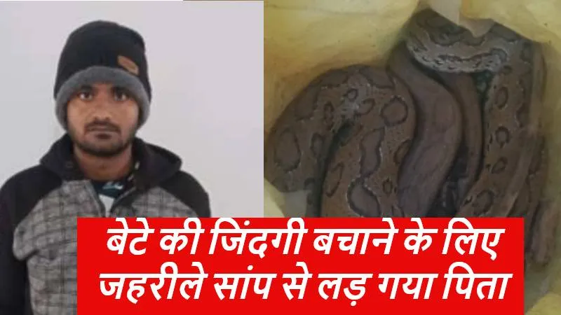 जान की बाजी: बेटे की जिंदगी बचाने के लिए जहरीले सांप से लड़ गए पिता, पकड़कर ले गए हरदोइ मेडिकल कॉलेज