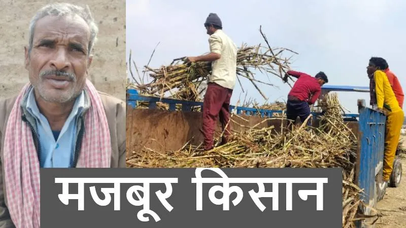 बहराइच: घर का खर्च पूरा करने के लिए घाटे का सौदा कर रहे किसान, क्रशर पर गन्ना बेचने को हैं विवश