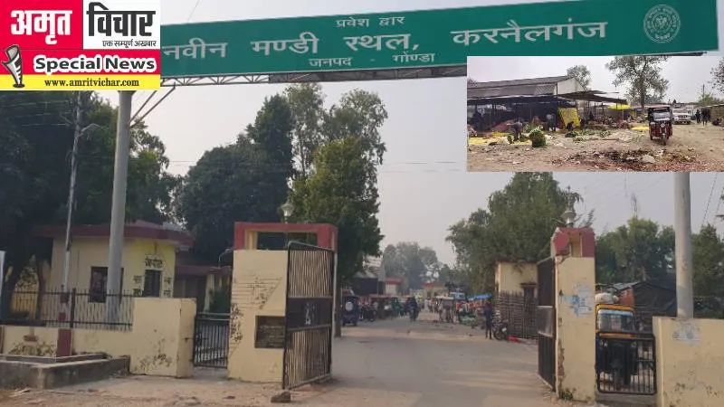 गोंडा: अवैध अतिक्रमण से कराह रही नवीन मंडी, सुविधाओं का टोटा, आवंटित दुकानों से अलग चल रहा कारोबार 