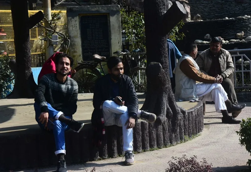 मुरादाबाद : बारिश के बाद साफ हुआ मौसम, धूप निकलने से राहत...गलन बरकरार 