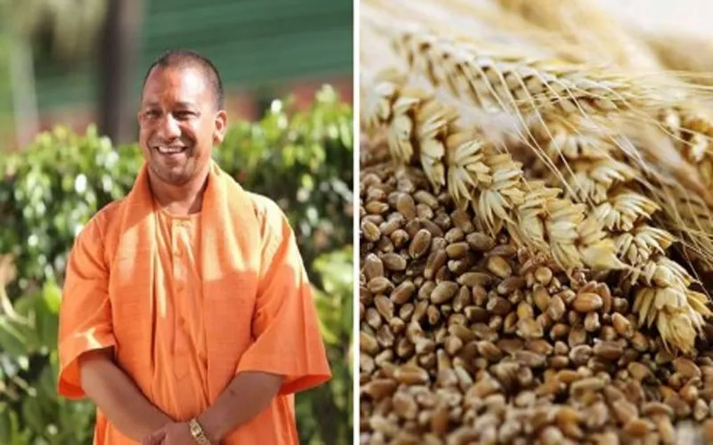लखनऊ: कल से शुरू होगी गेहूं की खरीद, सीएम योगी अधिकारियों से बोले- किसान भाइयों को नहीं होनी चाहिये कोई दिक्कत!