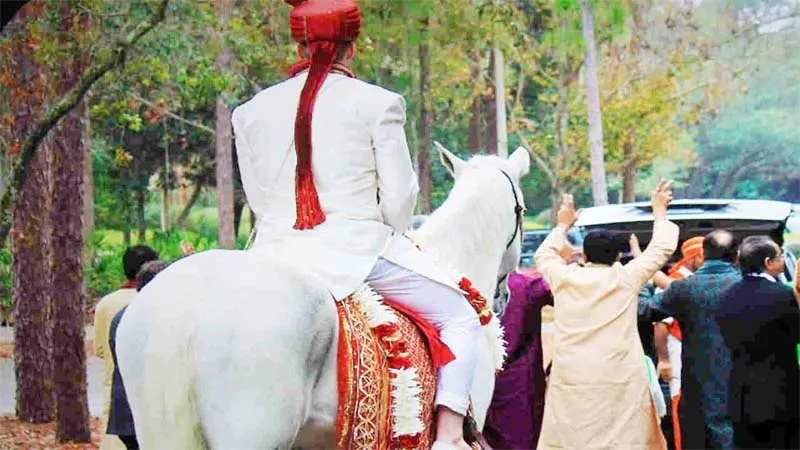 प्रयागराज: बारात लेकर जा रहे दूल्हे ने ऐसा क्या किया कि हो गया अरेस्ट, परिजन तो रोए ही बारात भी लौट गई!