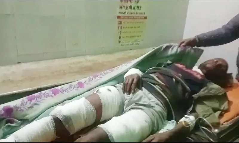 सीतापुर: खेत की रखवाली कर रहे किसान पर तेंदुए ने घात लगाकर किया हमला, हालत गंभीर