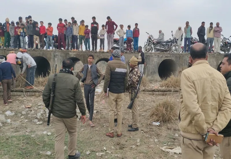 संभल: पुल से जिंदा और मृत गोवंशीय पशुओं को फेंककर भागे अज्ञात लोग