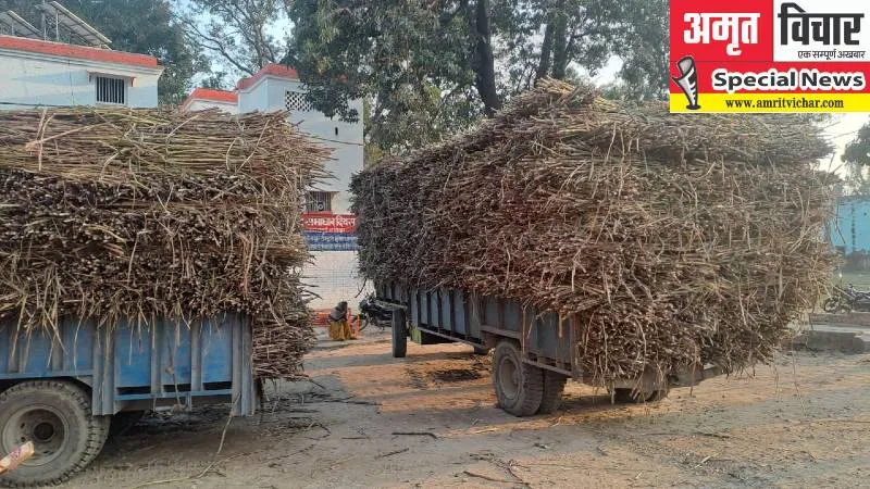 गोंडा: गन्ना लदी ट्रैक्टर-ट्रालियां बनी काल, लील रही लोगों की जिंदगी