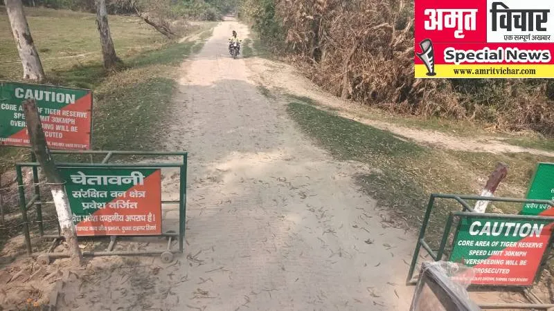 बहराइच: पहले जहां होती थी राजमा और सोयाबीन की खेती, अब ग्रासलैंड में हुआ तब्दील