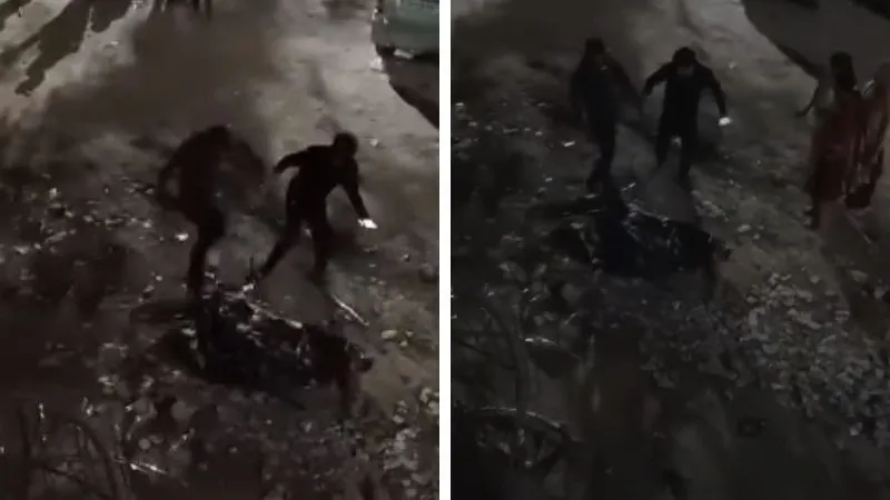 Kanpur News: गाली-गलौज का विरोध...जमीन में गिराकर बेरहमी से कर्मचारी को पीटा, गाड़ी भी तोड़ी, देखें- VIDEO