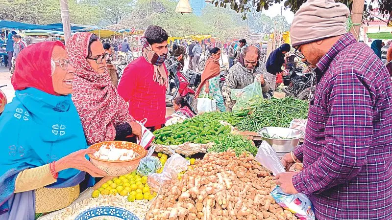 Kanpur: रसोई का बजट गड़बड़ाया, सब्जियों के दाम पहुंचे आसमान पर; काजू के भाव पर बिक रहा लहसुन, बैंगन भी 60 रुपये पार... 