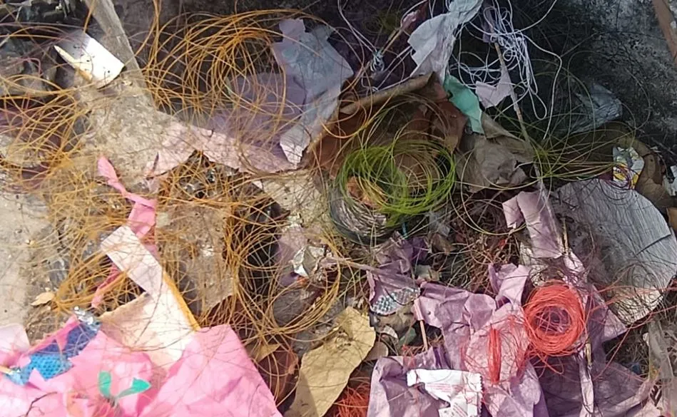 शाहजहांपुर: चाइनीज मांझे से पतंगें कम, गले ज्यादा कट रहे