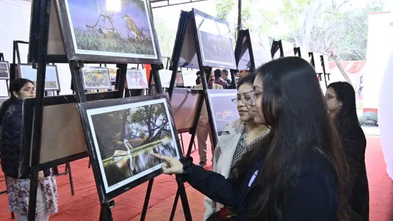 चिड़ियाघर 3