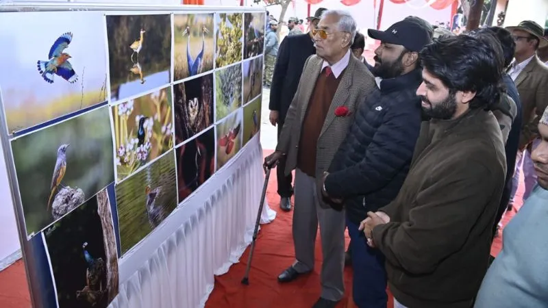 चिड़ियाघर 4