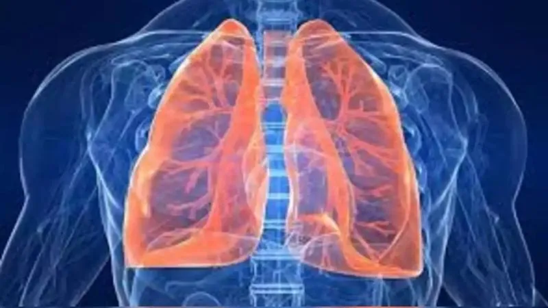 Kanpur: चुनौती बना शहर को टीबी मुक्त करना; मरीजों के इलाज में मिली खांमियां, डीएम ने दिए ये निर्देश...