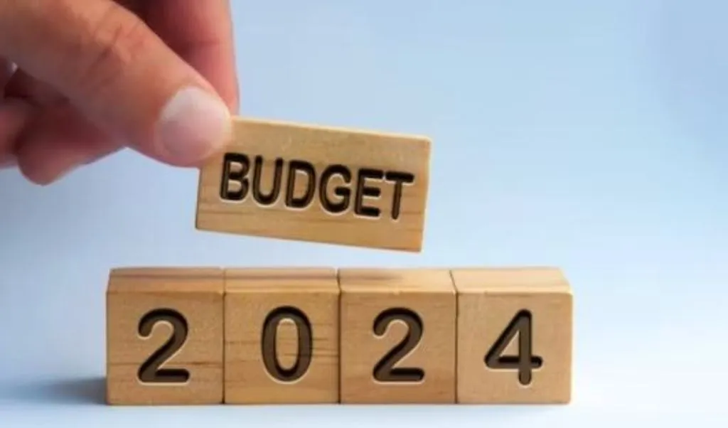 बरेली: बीजेपी ने कहा- विकसित भारत का बजट, विपक्ष बोला- पूंजीपतियों को और अमीर करने की मंशा