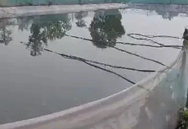 मछली पालन का हब बनेगा मुरादाबाद, तैयारी में जुटा प्रशासन...खर्च होंगे इतने करोड़ रुपये   