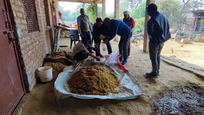 Kanpur News: सीएसए की ओर से किसानों को दिया गया प्रशिक्षण; बताए गए मशरूम की खेती के फायदे