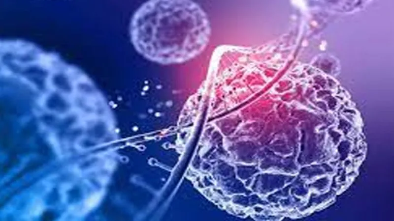 Kanpur: स्टेम सेल थेरेपी बनी वरदान; 32 साल से बिस्तर पर पड़े युवक की जिंदगी में इस तरह लाई नई खुशी...जानें 