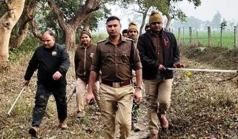 पीलीभीत: टाइगर रिजर्व में न हो जाए कटान और शिकार... होली पर अलर्ट, वनकर्मियों की छुट्टियां हुईं कैंसिल