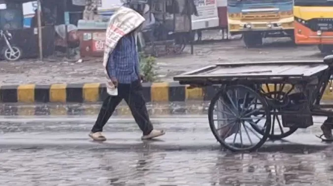 बरेली: मौसम ने ली करवट...बारिश और हवाओं के बीच लौटी ठंड, किसानों की बढ़ी चिंता