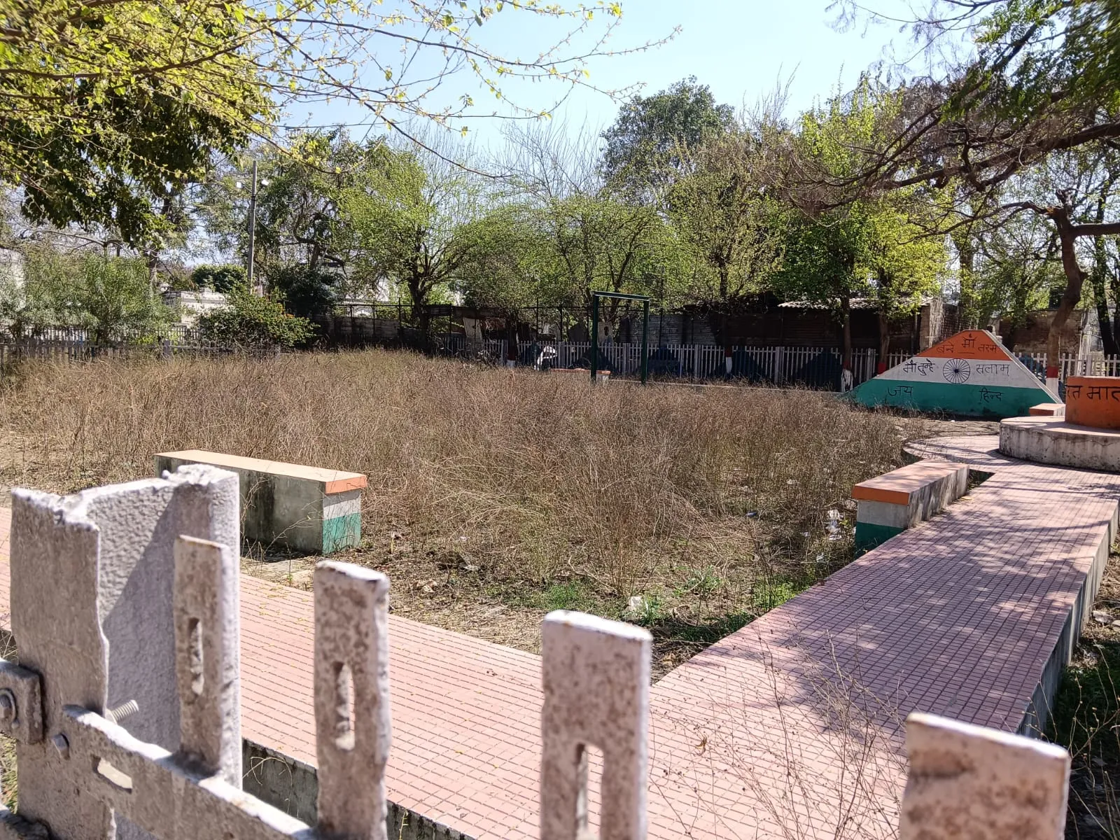 बरेली: अमृत काल की मुनादी में दबी साउथ रेलवे कॉलोनी के पार्क की आवाज, उग आई हैं झाड़ियां