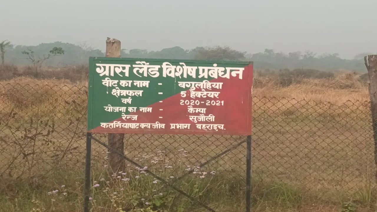 10 - 2024-03-29T111132.109