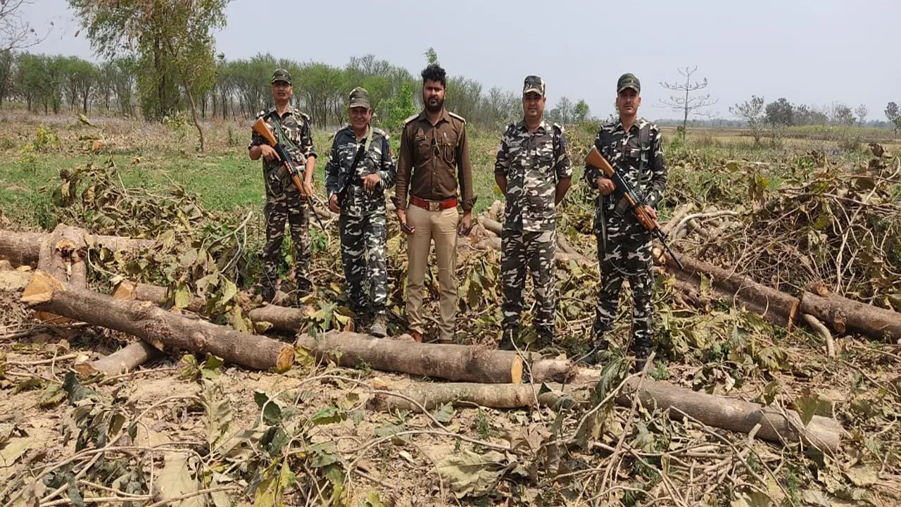 बलरामपुर: तीन ट्रैक्टर-ट्रॉली के साथ 147 बोटा सागौन की लकड़ी बरामद