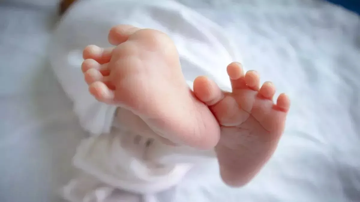 बदायूं में ममता हुई शर्मसार...मां ने नवजात बेटे को कब्रिस्तान के पास फेंका, मासूम को नोंच रहे थे कुत्ते