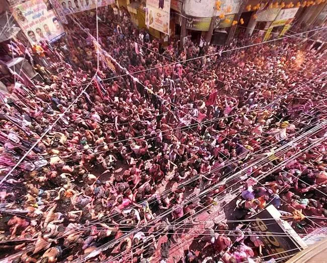 Ganga Mela 2024: Kanpur का प्रसिद्ध गंगा मेला...आज निकलेगा रंग का ठेला, होरियारों की फौज तैयार
