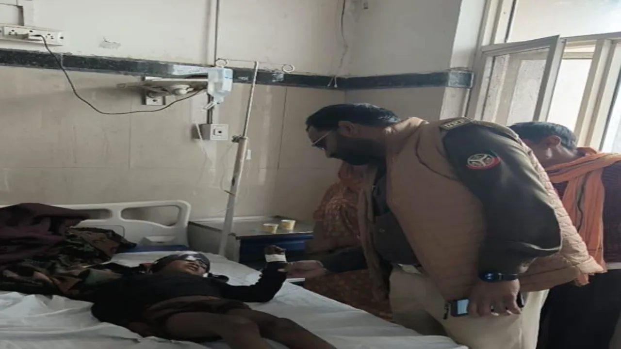 बहराइच: मां के पास सो रहे बेटे को दबोच कर भागा भेड़िया! शोर मचाने पर छोड़ा 