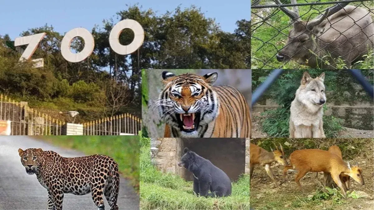  नैनीताल जू में बूढ़े हो रहे जानवर, घट रही संख्या