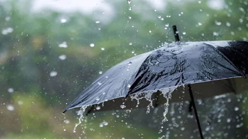 झांसी: मौसम की मार से किसान बेहाल, तेज बारिश और ओलावृष्टि ने रबी की फसल को पहुंचाया नुकसान  