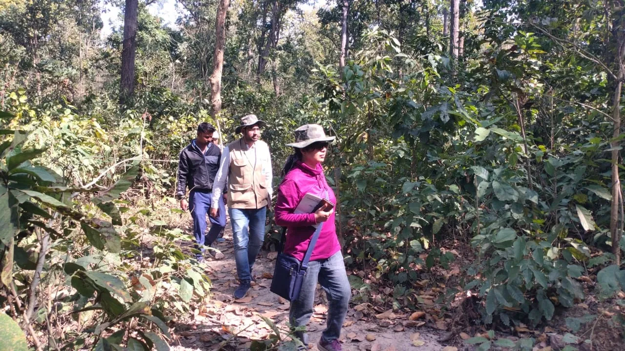  बहराइच: लखनऊ के वैज्ञानिकों ने किया जंगल का भ्रमण, वनस्पति और जलवायु का किया सर्वेक्षण