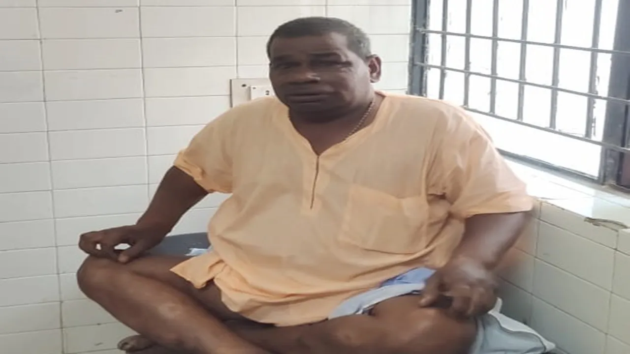 गोंडा: प्रशिक्षण ले रहे शिक्षकों पर मधुमक्खियों के झुंड ने बोला हमला, कई घायल 