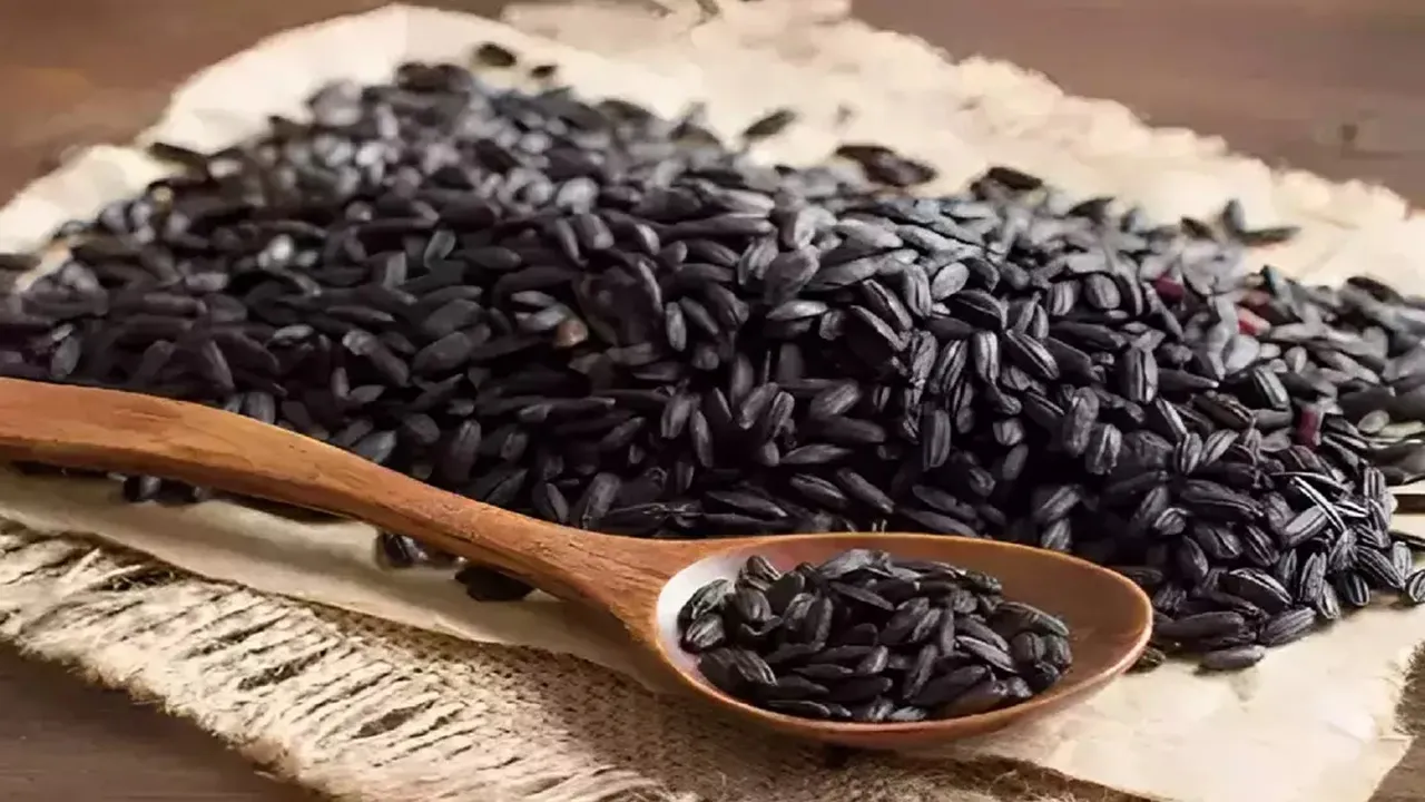 गोंडा: काला नमक चावल निर्यात के लिए देवीपाटन मंडल को मिला जीआई टैग 