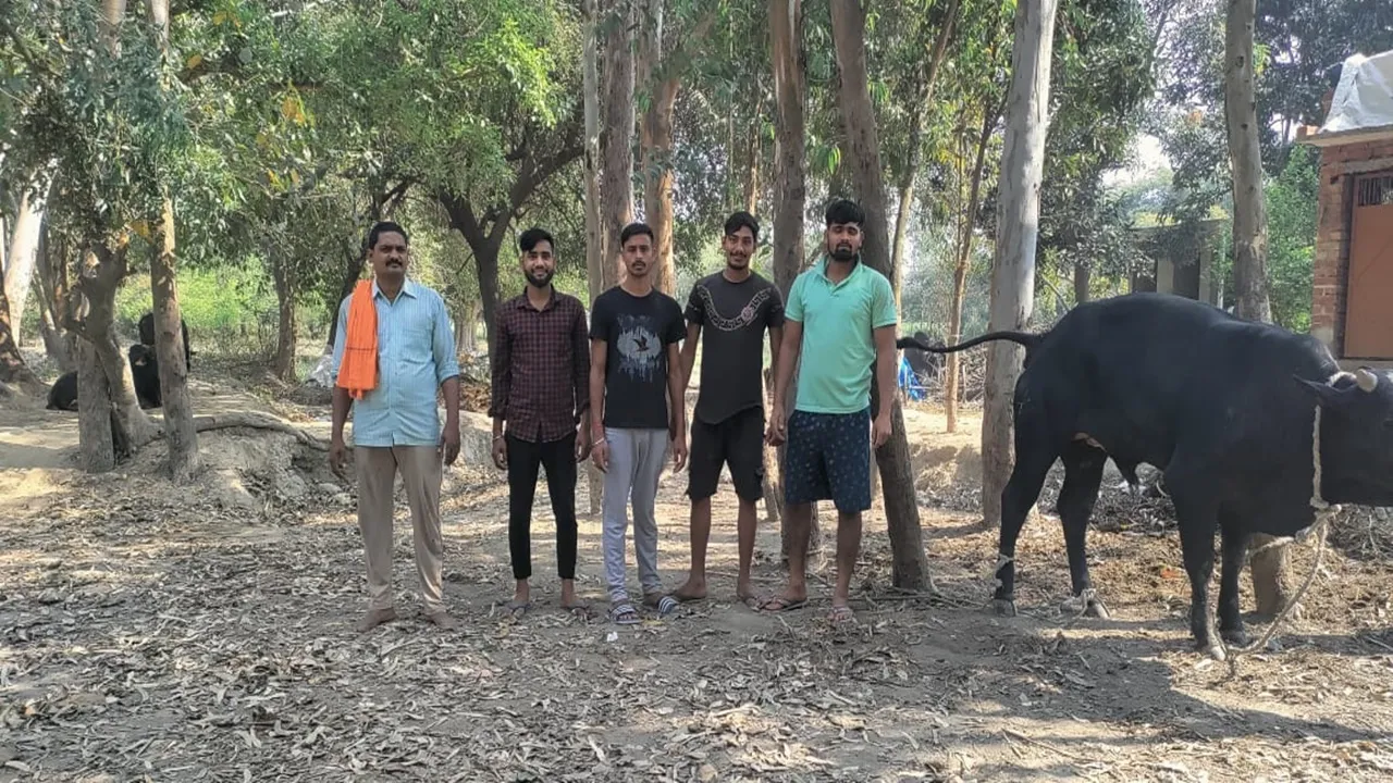अयोध्या: किसानों ने घेराबंदी कर पकड़े आठ सांड़, सचिव व प्रधान पर भड़के