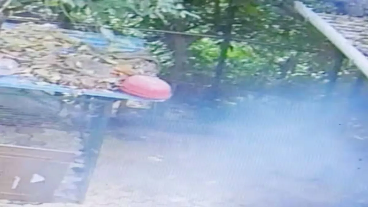 उमेश पाल के घर कूड़े ढेर में सिगरेट फेंकने से लगी थी आग, तीन पड़ोसियों का हुआ चालान